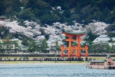 5 Hal Penting Untuk Pendatang Baru di Jepang