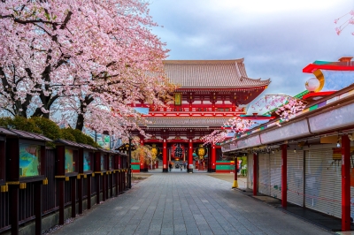 Mau Liburan? Ini Tips Liburan Murah ke Jepang